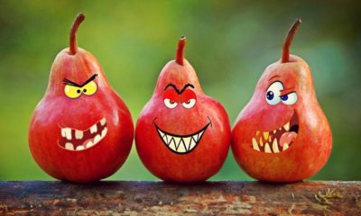 Humor Quotes