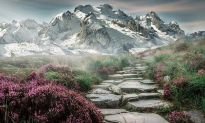 Nature-Quotes