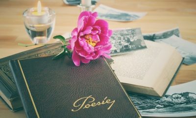 Poetry-Quotes