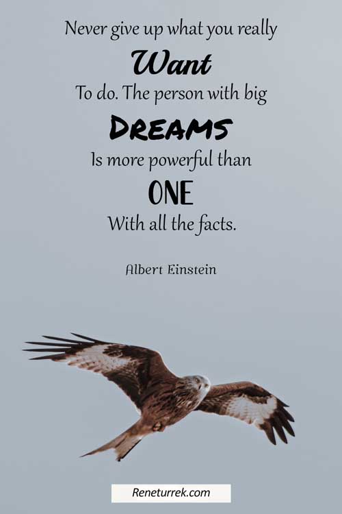 new-journey-quotes-by-albert-einstein
