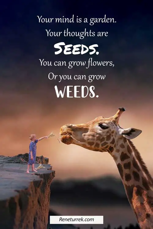 funny-imagination-quotes-and-sayings