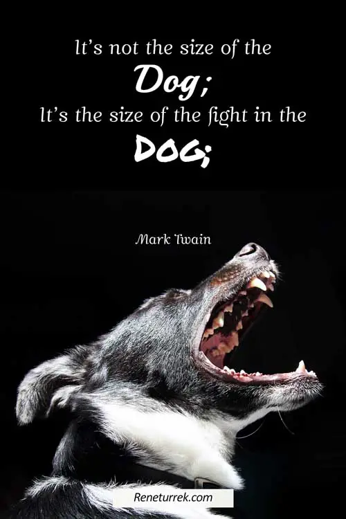 power-quotes-by-Mark-Twain