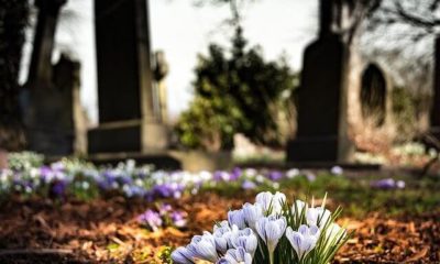 Death-Quotes