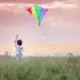 Kite Quotes