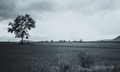 missing-home-quotes