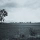 missing-home-quotes