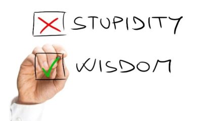 stupidity-quotes