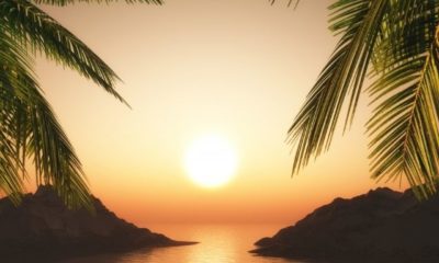 sun-kissed-quotes