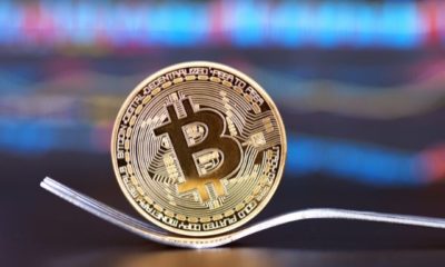 crypto-borrowing-for-business-expansion-case-studies-and-insights